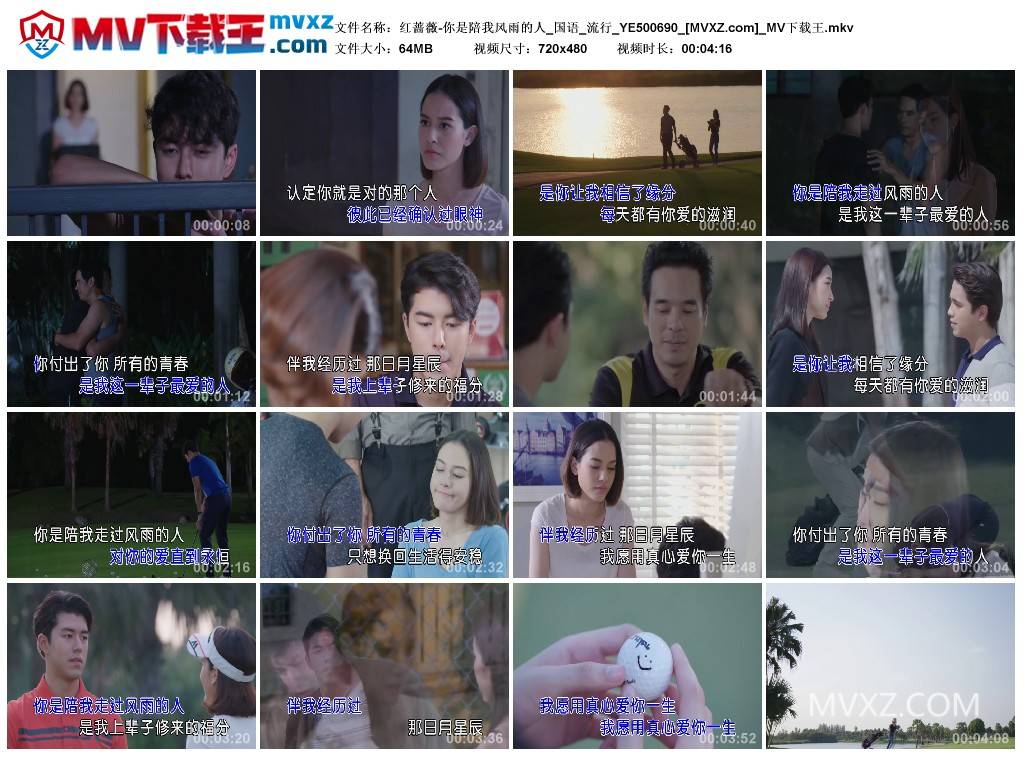 红蔷薇-你是陪我风雨的人_国语_流行_YE500690